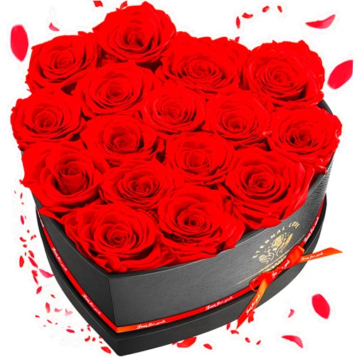 Impouo 16 Preserved Flower, Fresh Forever Roses in Heart Shape Box, Eternal Roses, Birthday Gifts for Women, Wife, Her, Mother's Day, Valentine's Day-Red Roses