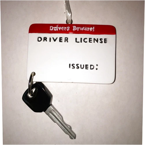 Polar X PolarX New Driver License Christmas Ornament
