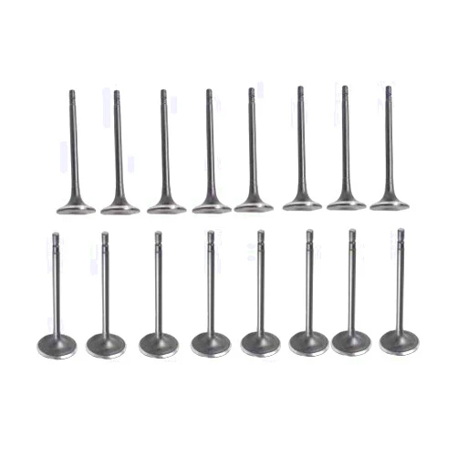DNJ VK164242 Exhaust Intake Valve Kit for 2013-2020 INFINITI, Nissan Altima, Murano, Pathfinder 2.5L L4 16V DOHC 2488cc