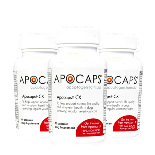 Apocaps CX Apoptogen Formula for Dogs (270 Capsules) - Supports Normal Levels of Apoptosis + Human Grade Ingredients Including Citrus Bioflavonoids, Silymarin, Curcumin and Turmeric + Biovadex