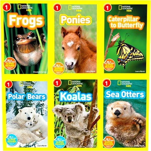 Shira Evans,Susan Neuman National Geographic Readers Level 1 : Caterpillar to Butterfly, Ponies, Frogs, Koalas, Sea Otters, Polar Bears - 6 Book Set