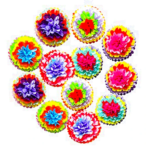 VUAOHIY Mexican Fiesta Tissue Paper Pom Poms Flowers Rainbow Theme Party Supplies for Carnival Cinco De Mayo Wedding Birthday Decorations (12)