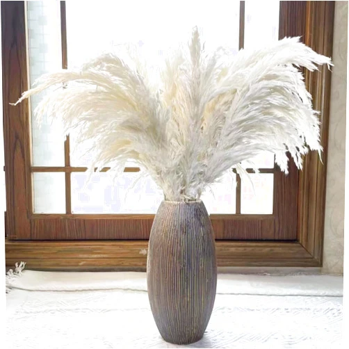 AlobyC Boho Pampas Decoration, (10 Units, 17.5 inch Large). White Pampas Grass Decor Fluffy. Small Pampas Grass, Boho Flowers Decor, Dried White Flowers. by AlobyC (White |10 pcs | 17inch|)
