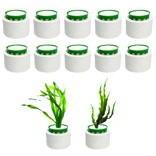 QoTang 12 Pack New Upgrade Aquarium Plant Weights, Aquatic Plants Fixed Ring Set, Anti-Floating Ceramic Aquarium Plant Rings, Aquarium Landscape Decoration Fish Tank Accessories 1.8 x 1.3 Inch