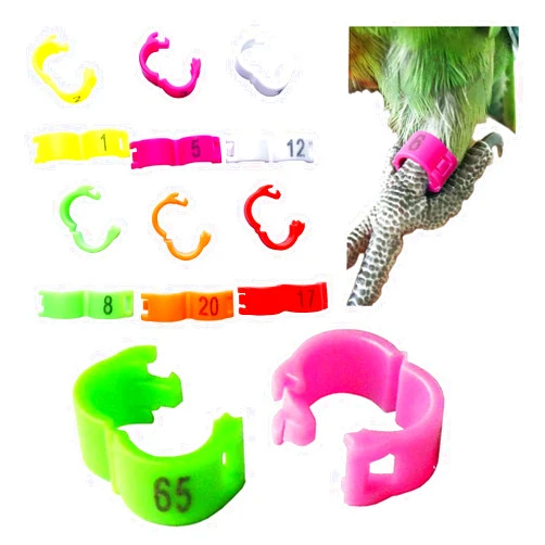 SRRPSPIGEON Bird Leg Ring 60pc 6 Color Clip Ring 3mm 4.5mm 4mm 5mm Parrot Canary Aviary Leg Band Foot Ring Open Clip Ring (3mm)