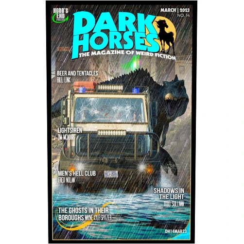Wayne Kyle Spitzer,Lee Landey,Tim McHugh,Fred Nolan,H. Thomas,Todd Sullivan,Kevin Brown,K. Danckert,Matthew McAyeal,Bill Link Dark Horses: The Magazine of Weird Fiction No. 14: March 2023 (Dark Horses Magazine)