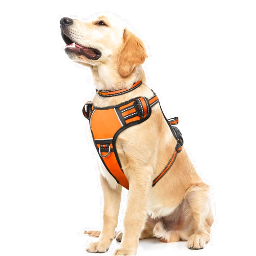 WINSEE Dog Harness No Pull, Pet Harnesses with Dog Collar, Adjustable Reflective Oxford Outdoor Vest, Front/Back Leash Clips for Small, Medium, Large, Extra Large Dogs, Easy Control Handle for Walking