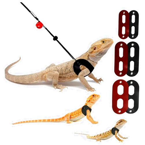 Lyeiaa 2 Colors Bearded Dragon Harness and Leash Adjustable(S,M,L) - Soft Leather Reptile Lizard Leash for Amphibians and Other Small Pet Animals Red Black