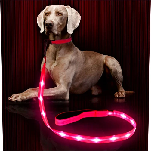 Weesiber Glowing Light Up LED Dog Leash - 4ft USB Rechargeable Flashing Nylon Leash for Small Medium Large Dogs, 3 Flash Modes (Pink)