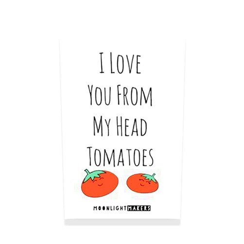 Moonlight Makers Funny Fridge Magnets - 2x3