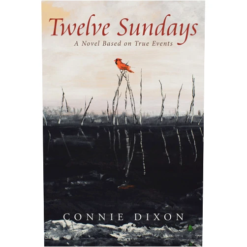 By Connie Dixon (Author) Format: Kindle Edition Twelve Sundays: A Novel Based on True Events