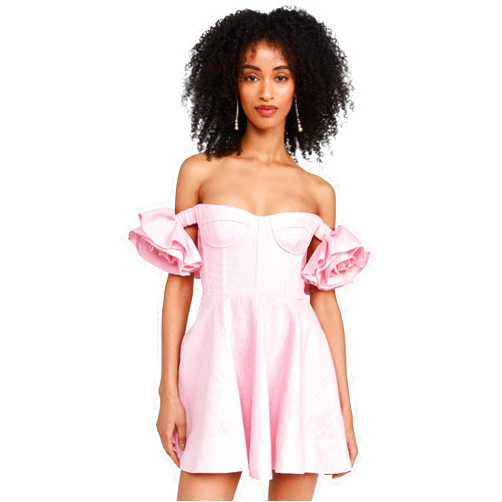 Bardot Women's Sigma Mini Dress