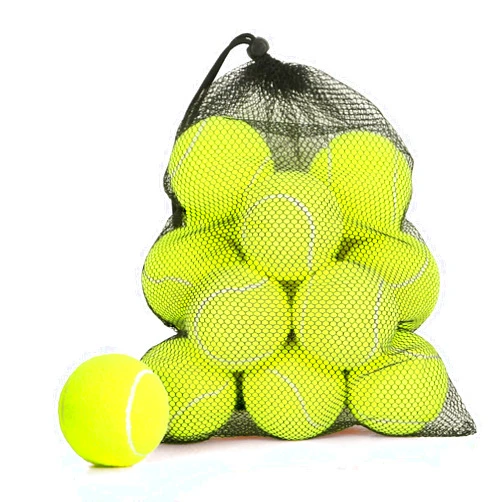 MRYCZ FYRHD 24 Pack Tennis Balls, Training Tennis Balls, Pet Dog Playing Balls, Practice Tennis Balls with Mesh Bag for Transport and Beginner Training