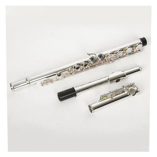 RTGHYTY General Flute Instrument For Beginners And Exams JZFL-200S