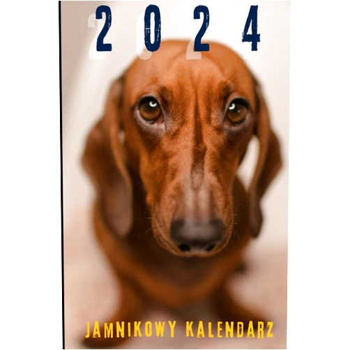 P K Grencel Kalendarz 2024.: Motywem przewodnim są jamniki. Zdjęcia i ciekawe informacje o jamnikach (Polish Edition)