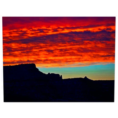 Wild Auroras Brushed Aluminum Print