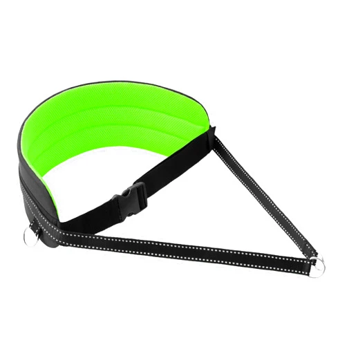 LASALINE Waist Belt for Canicross Skijoring Dogtrekking Skating Hiking with Dog - Black Neongreen