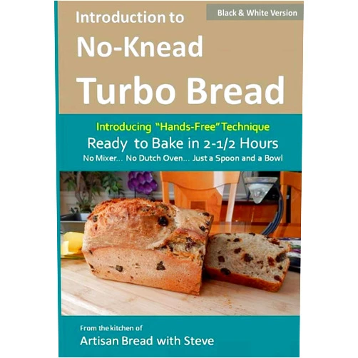 Steve Gamelin Introduction to No-Knead Turbo Bread (Ready to Bake in 2-1/2 Hours… No Mixer… No Dutch Oven… Just a Spoon and a Bowl) (B&W Version): From the kitchen ... Steve (No-Knead Turbo Bread (B&W Version))