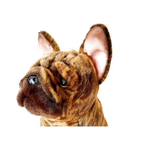 Sawley Fine Arts Brindle French Bulldog quality 12