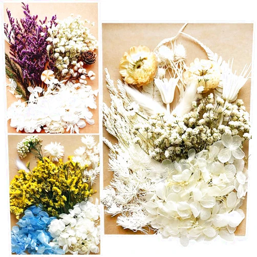 JUYEE Dried Flowers for Resin Molds,Real Dried Pressed Flowers for Candle Making Scrapbooking DIY Candle Decoration Resin Jewelry Crafts Making (03)