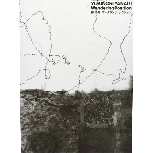 Japanese Edition by Yukinori Yanagi (Author) Yukinori Yanagi 