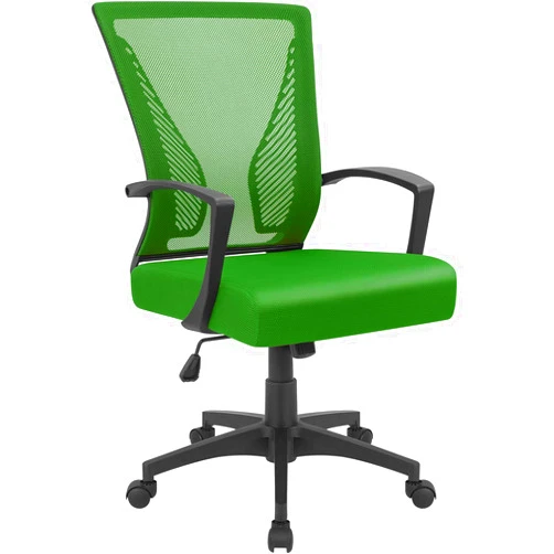 Furmax Office Chair Mid Back Swivel Lumbar Support Desk Chair, Computer Ergonomic Mesh Chair with Armrest (Green)