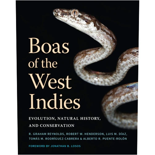Robert Graham Reynolds,Robert W. Henderson,Luis M. Díaz,Tomás M. Rodríguez-Cabrera,Alberto R. Puente-Rolón,Jonathan B. Losos Boas of the West Indies: Evolution, Natural History, and Conservation
