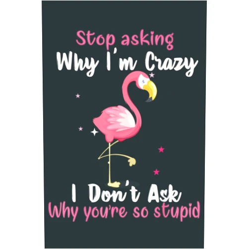 Diogenes Arrieta Funny Flamingo Stop Asking Why I m Crazy: Lined Journal Mint Notebook 6x9 Inch 120 Pages