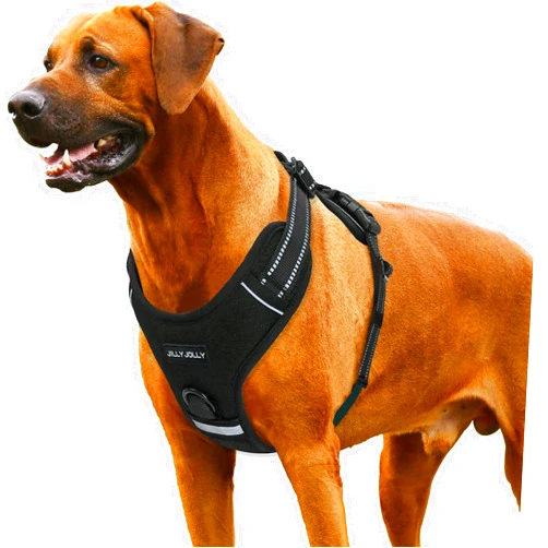 JILLY JOLLY Dog Harness, No Pull Adjustable Soft Padded Dog Vest, Reflective No Choke Pet Oxford Vest, Easy to Control for Medium Large Dogs Walking Running Training(X-Large)