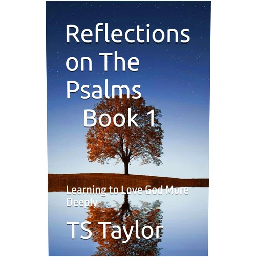 By TS Taylor (Author) Reflections on The Psalms, Book 1: Learning to Love God More Deeply
