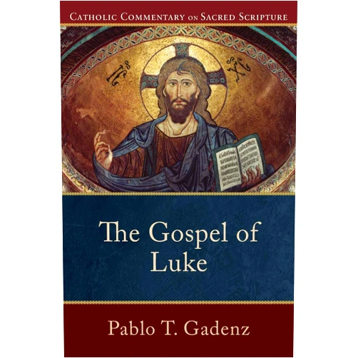 Pablo T. Gadenz,Peter S. Williamson,Mary Healy The Gospel of Luke: (A Catholic Bible Commentary on the New Testament by Trusted Catholic Biblical Scholars - CCSS) (Catholic Commentary on Sacred Scripture)