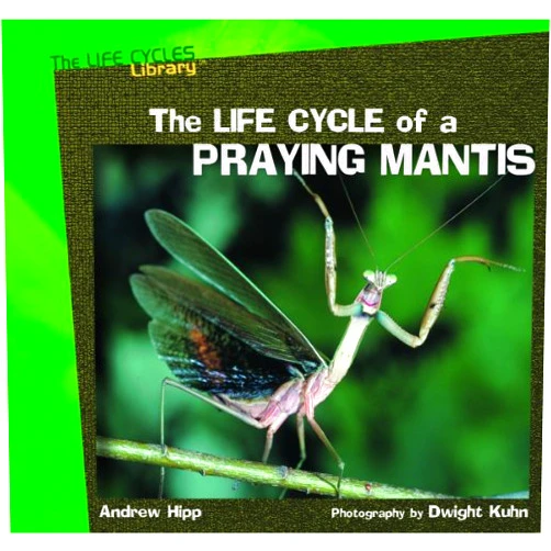 Andrew Hipp,Dwight Kuhn The Life Cycle of a Praying Mantis (Life Cycles Library)