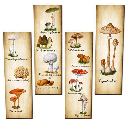 Yookeer 4 Pcs Vintage Mushroom Wall Decor Mushrooms Art Wooden Sign Rustic Mushroom Kitchen Decor Fungus Aesthetic Poster for Bedroom Dining Room Living Room Office(11 x 3.5 Inch)