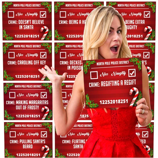 That'sAwesome! Christmas Photo Booth Prop Mugshot Signs! 20 Double sided cards for 40 fun options!