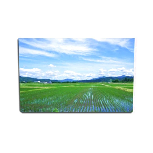 VIUBGCPS Canvas Print Pictures Wall Art Painting Paddy Field and Blue Sky Framed & Stretched Posters Ready to Hang Home Decor Artworks - 20x32inch