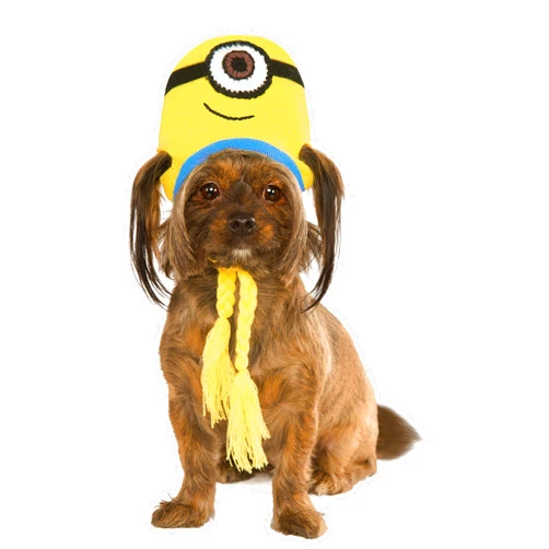 Rubies Minion Stuart Knit Dog Headpiece, Small/Medium