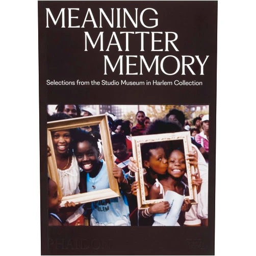Thelma Golden,Connie H. Choi,Mary Schmidt Campbell,Kinshasha Holman-Conwill,Lowery Stokes Sims Meaning Matter Memory: Selections from the Studio Museum in Harlem Collection