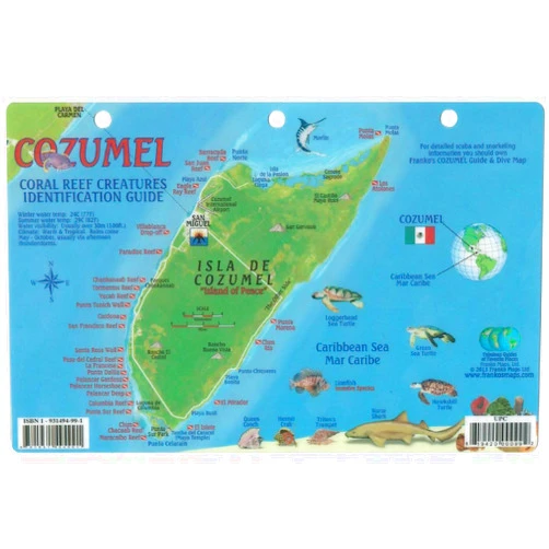 Frankos Franko Maps Cozumel Reef Creatures Fish ID for Scuba Divers and Snorkelers