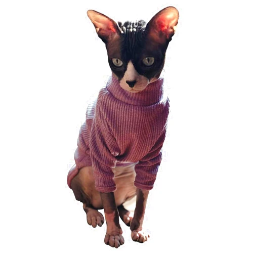 Bonaweite Sphynx Cat Clothes, Cat Sweaters for Cats Only, Soft Cat Turtleneck Cotton Shirt, Pullover Kitten Clothes Outfits for Male Female Cats, Hairless Cat Pajamas Onesie Costume for Halloween