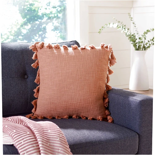 SAFAVIEH Home Collection Skyla Boho Pink Tassel 18-inch Square Decorative Accent Throw Pillow (Insert Included) PLS6537A-1818, 19