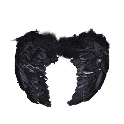 PGXT Halloween Party Costumes Feather Angel Wing