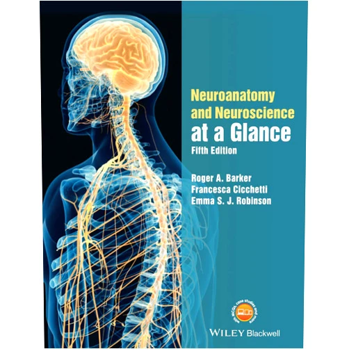 Roger A. Barker,Francesca Cicchetti,Emma S. J. Robinson Neuroanatomy and Neuroscience at a Glance
