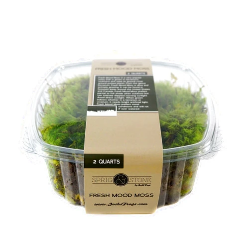 Josh's Frogs Sprig & Stone Fresh Mood Moss (2 Quart)