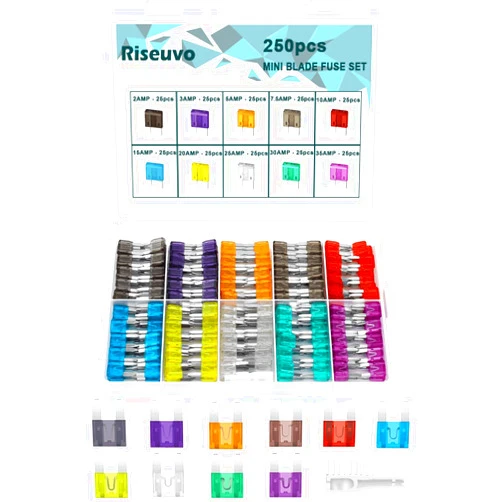 Riseuvo 250 Pcs Mini Blade Fuse Assortment - Car Automotive Truck Auto ATM Fuse Kit (2A 3A 5A 7.5A 10A 15A 20A 25A 30A 35A)