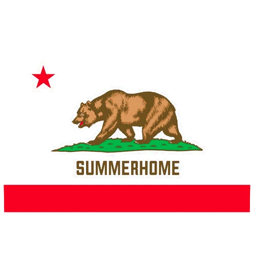Brian Bula Summerhome California Flag Sticker Decal Mega Deal 7 Stickers for this California City or Location