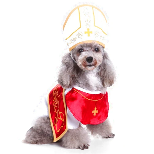 Coppthinktu Pope Dog Costume - Halloween Holy Hound Dog Costume, Cute Holy Father Dog Cosplay Costume for Puppy Small Medium Dogs, Funny Pontiff Dress Special Events Photo Props Accessories