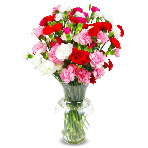 Benchmark Bouquets - 20 Stem Rainbow Mini Carnations (Glass Vase Included) – Fresh Flowers for Delivery - Gift for Easter, Mother’s Day, Birthday, Anniversary, Sympathy, Get Well, Congratulations