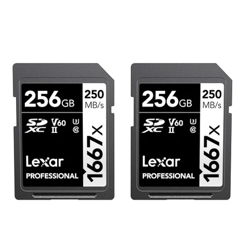 Lexar 256GB (2-Pack) Professional 1667x SDXC Memory Cards, UHS-II, C10, U3, V60, Full-HD & 4K Video, Up To 250MB/s Read, for Professional Photographer, Videographer, Enthusiast (LSD1667256G-B2NNU)