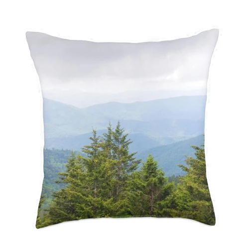 SasEz! Desyn Blue Ridge Mountains Throw Pillow, 18x18, Multicolor