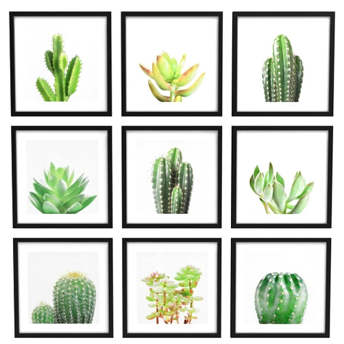 Zenobia Framed Wall Art Collage Print Gallery Set Green Desert Southwest Cactus Succulents Nature Wilderness Photography Modern Art Rustic Scenic for Living Room, Bedroom, Office - 8